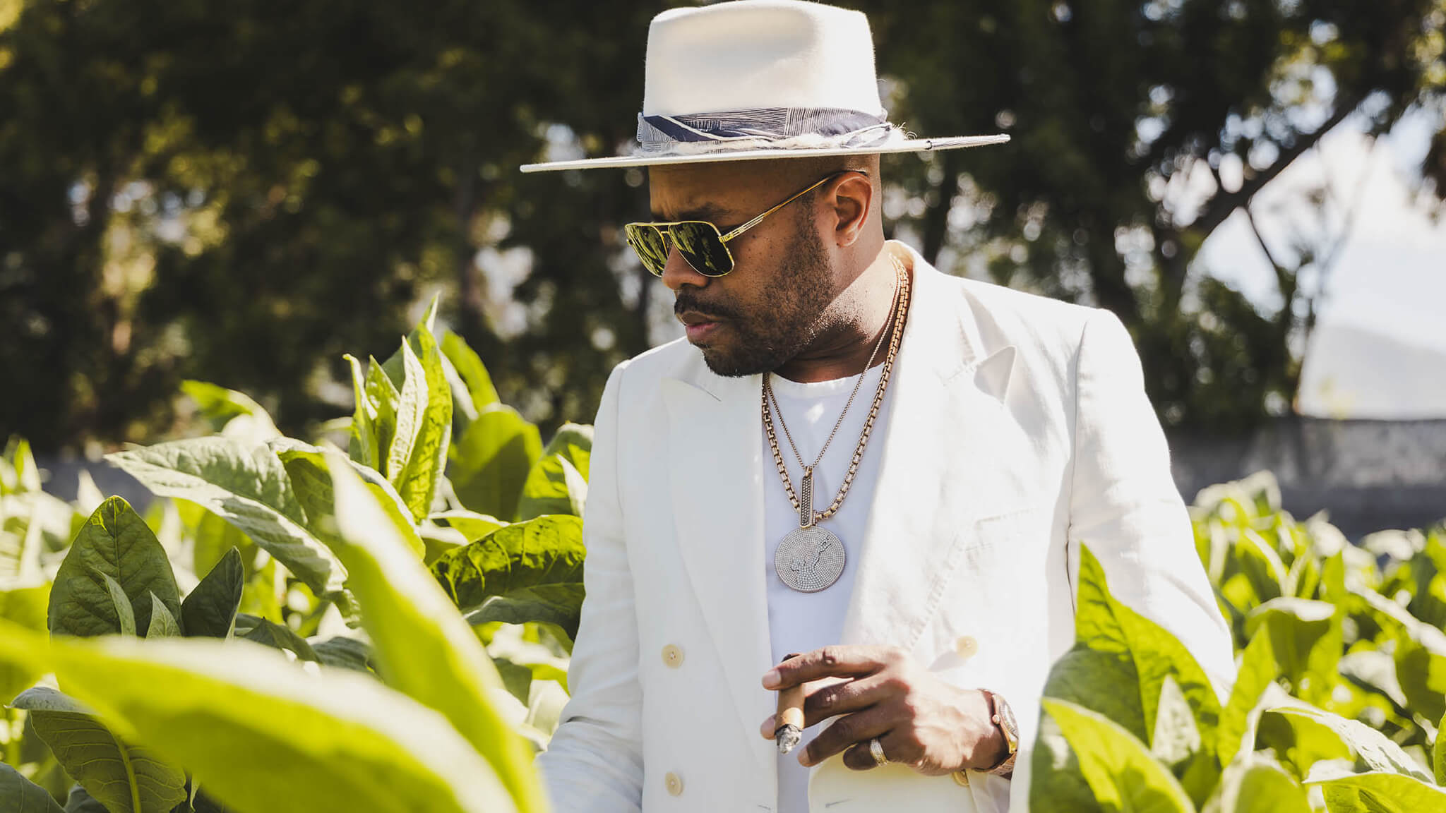 DNice-Avo-Cigars-DeepSleep-Studio-Dominican Republic-fields2