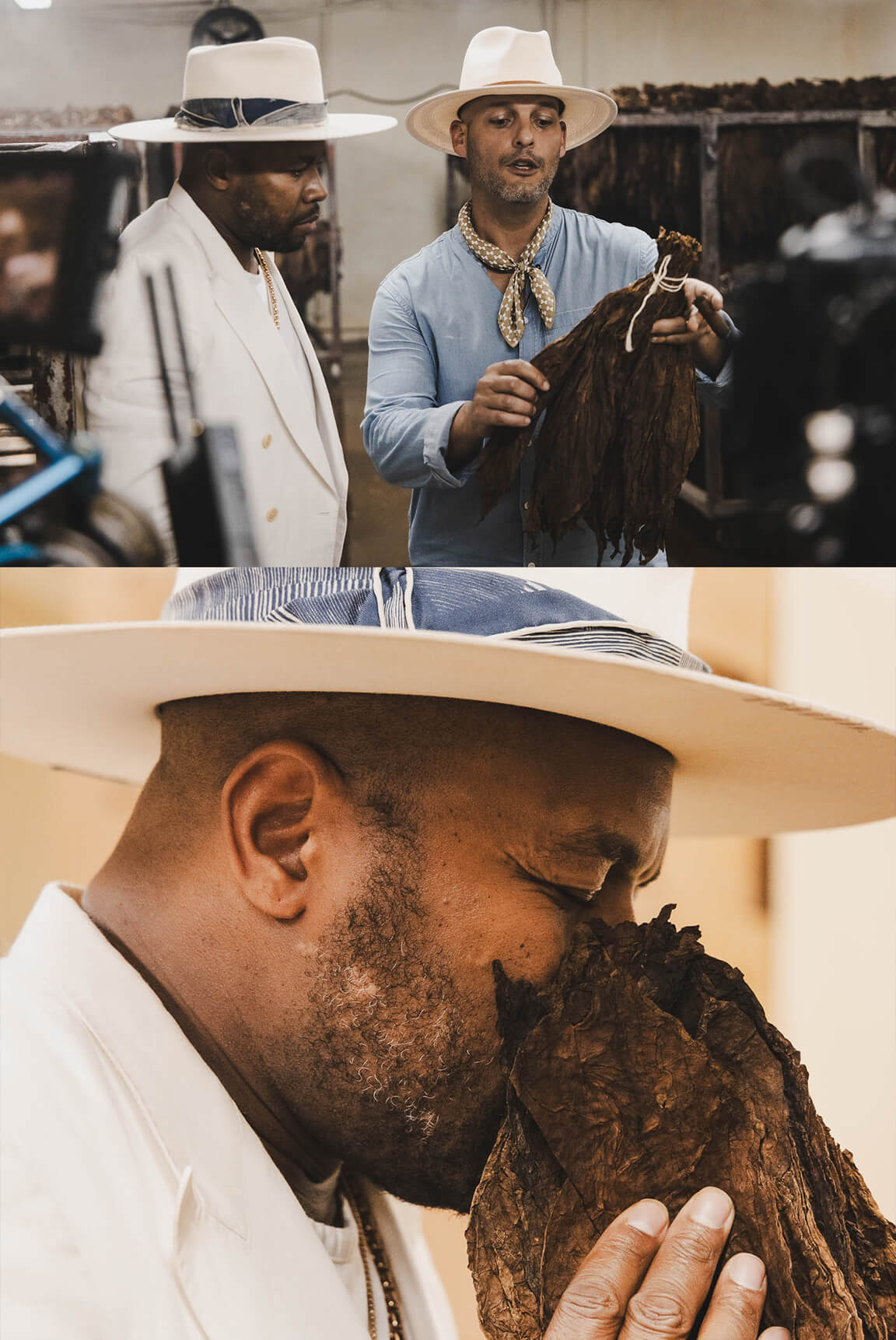 DNice-EddyGuerra-Avo-Cigars-DeepSleep-Studio-Dominican Republic-cigar-2