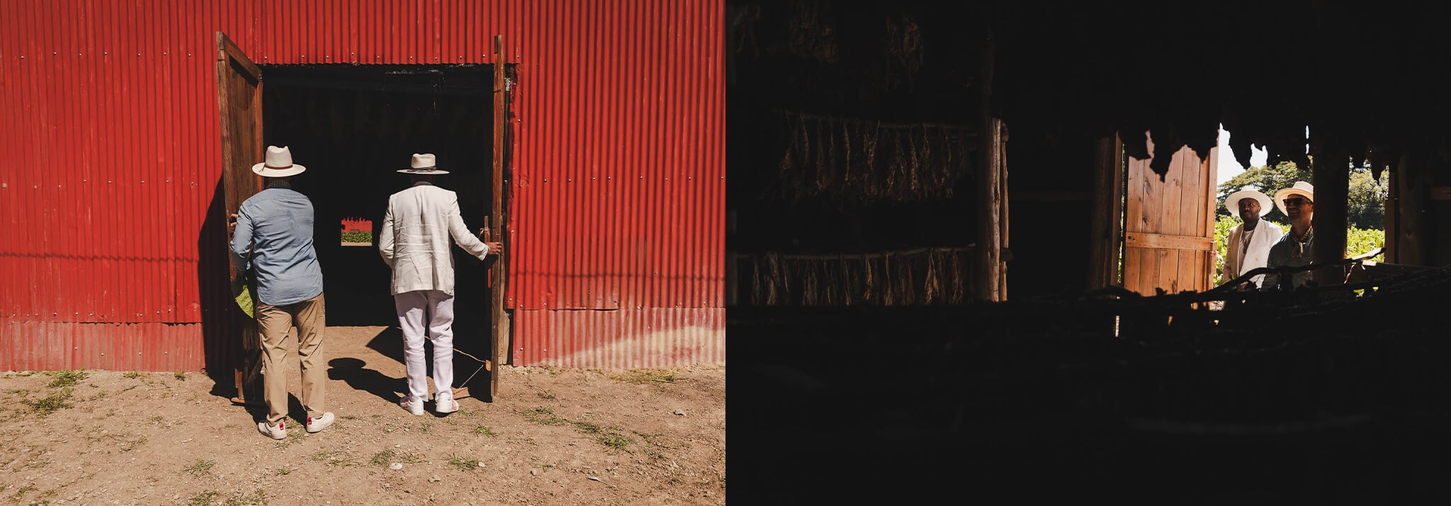 deepsleep-studio-DNice-AvoCigars-travels_farm